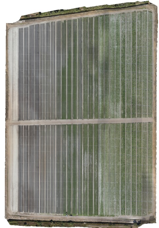 Professional orthomosaic drone map of an agricultural field created using photogrammetry by Sky Scout Drones.