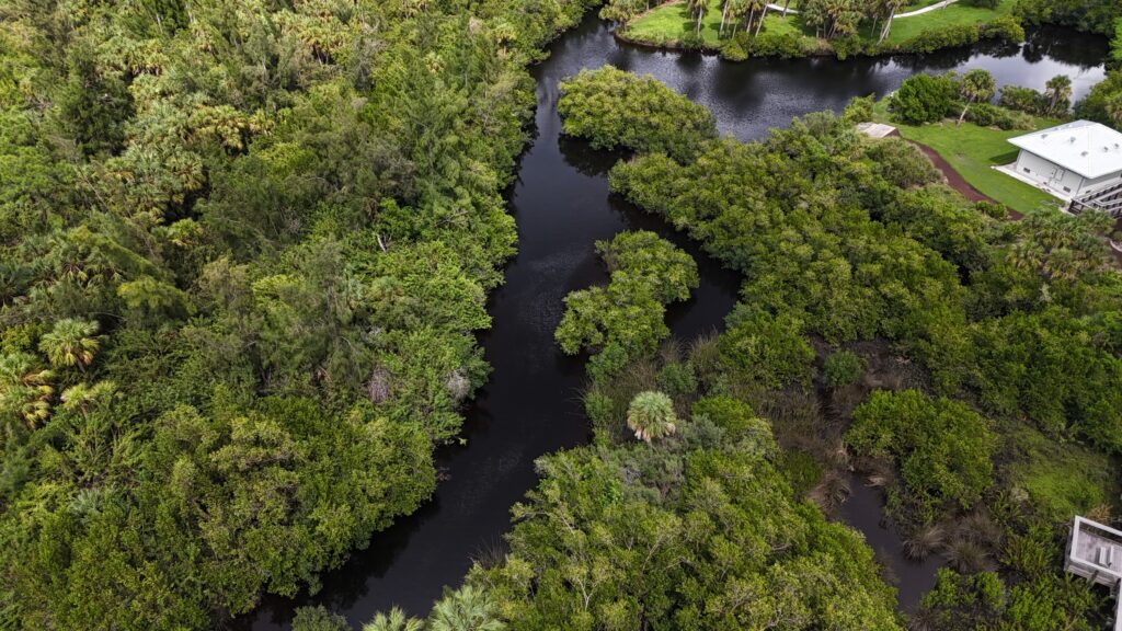 Aerial view of a winding natural waterway surrounded by dense green vegetation